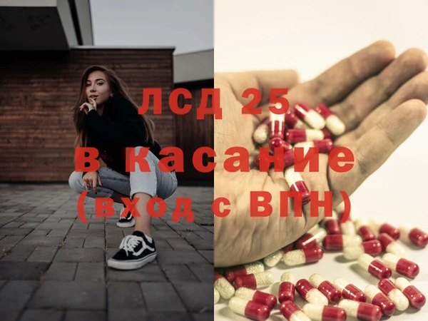 прущие грибы Шарыпово