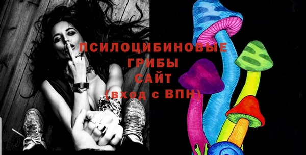 мескалин Медвежьегорск
