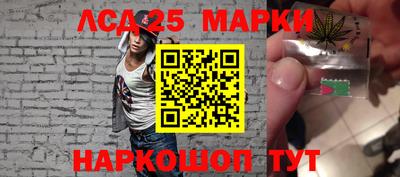 гидропоника Жуковский