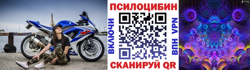 Псилоцибиновые грибы прущие грибы  Орск 