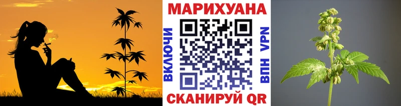 цена   Орск  Каннабис Bruce Banner 